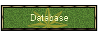 Database